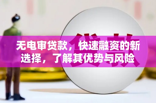 灌云无电审贷款，快速融资的新选择，了解其优势与风险