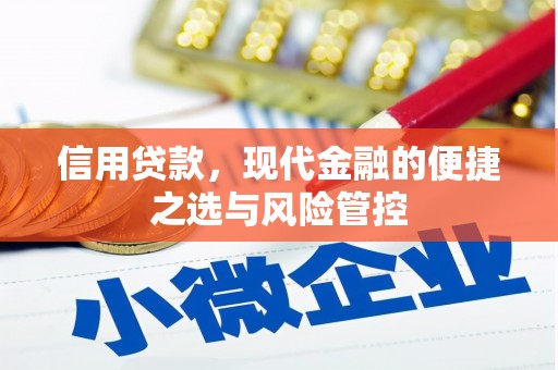 灌云信用贷款，现代金融的便捷之选与风险管控