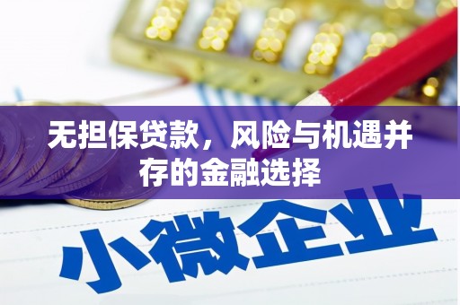 灌云无担保贷款，风险与机遇并存的金融选择