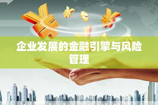 灌云企业发展的金融引擎与风险管理