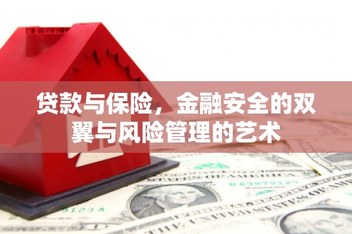 灌云贷款与保险，金融安全的双翼与风险管理的艺术