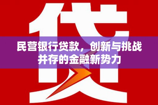 灌云民营银行贷款，创新与挑战并存的金融新势力