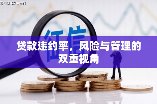 灌云贷款违约率，风险与管理的双重视角
