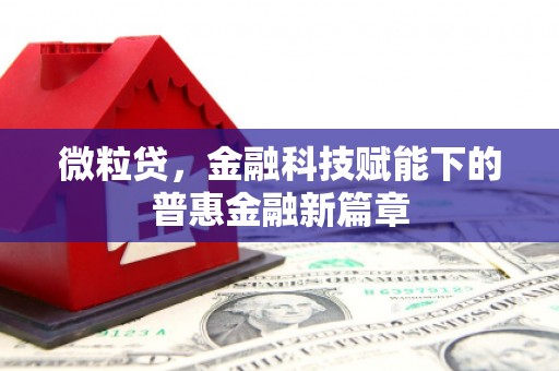 灌云微粒贷，金融科技赋能下的普惠金融新篇章