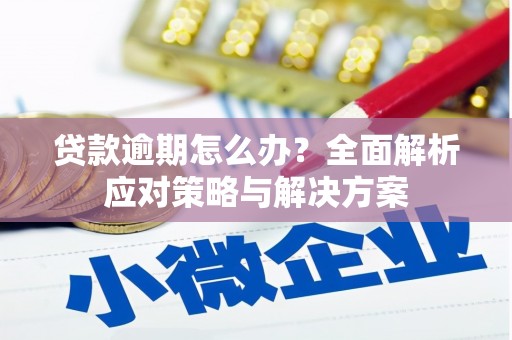 灌云贷款逾期怎么办？全面解析应对策略与解决方案
