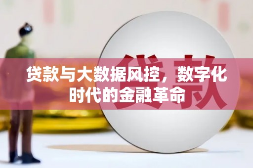 灌云贷款与大数据风控，数字化时代的金融革命
