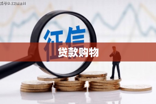 灌云贷款购物