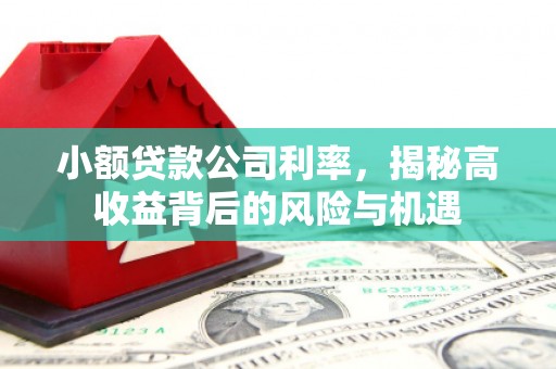 灌云小额贷款公司利率，揭秘高收益背后的风险与机遇