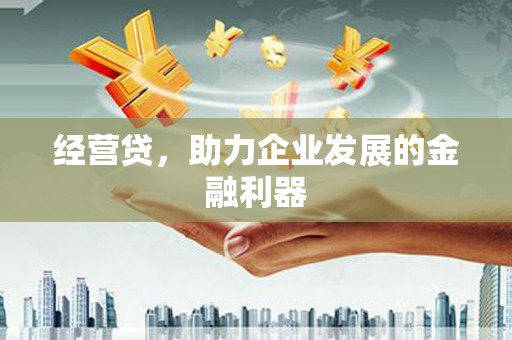 灌云经营贷，助力企业发展的金融利器
