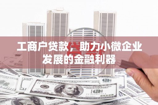 灌云工商户贷款，助力小微企业发展的金融利器