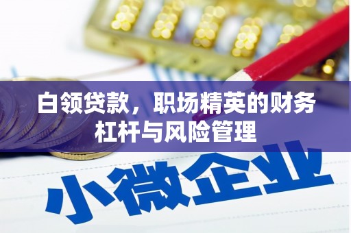 灌云白领贷款，职场精英的财务杠杆与风险管理