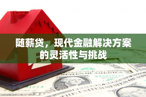 灌云随薪贷，现代金融解决方案的灵活性与挑战