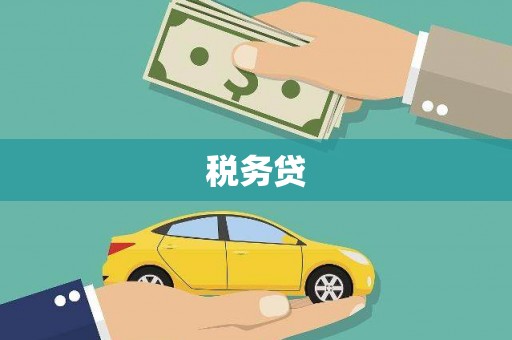 灌云税务贷