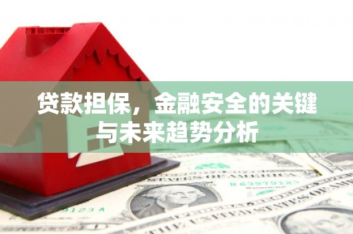 灌云贷款担保，金融安全的关键与未来趋势分析