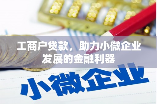 灌云工商户贷款，助力小微企业发展的金融利器