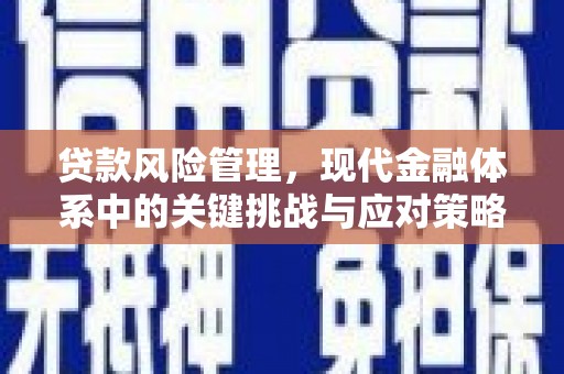灌云贷款风险管理，现代金融体系中的关键挑战与应对策略