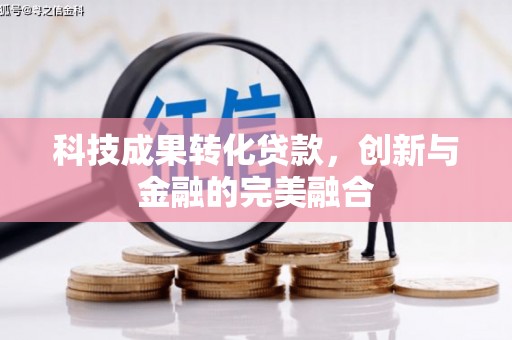 灌云科技成果转化贷款，创新与金融的完美融合