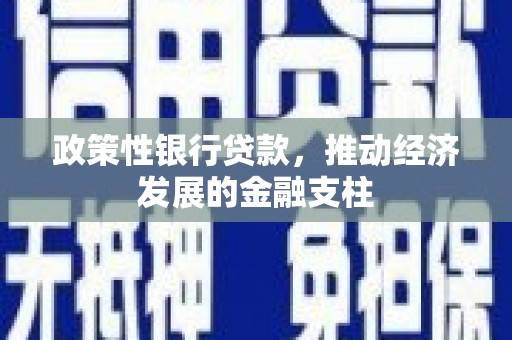 灌云政策性银行贷款，推动经济发展的金融支柱