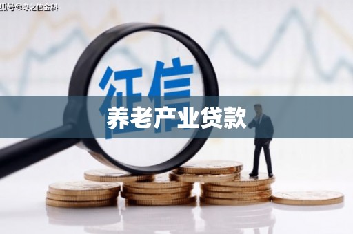 灌云养老产业贷款