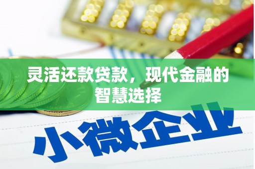 灌云灵活还款贷款，现代金融的智慧选择