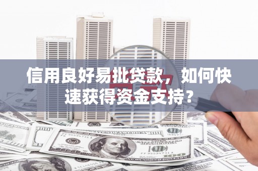 灌云信用良好易批贷款，如何快速获得资金支持？