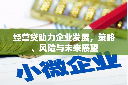 灌云经营贷助力企业发展，策略、风险与未来展望