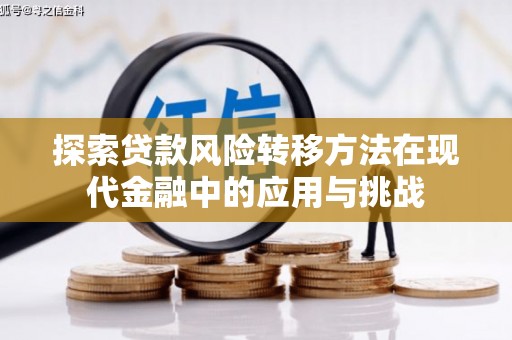 灌云探索贷款风险转移方法在现代金融中的应用与挑战