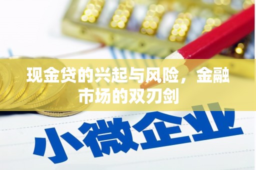 灌云现金贷的兴起与风险，金融市场的双刃剑