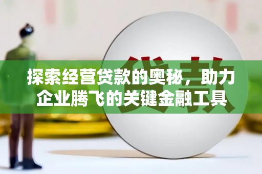 灌云探索经营贷款的奥秘，助力企业腾飞的关键金融工具