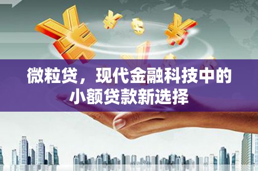 灌云微粒贷，现代金融科技中的小额贷款新选择