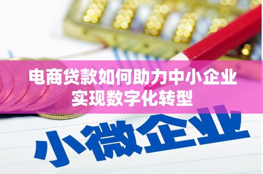 灌云电商贷款如何助力中小企业实现数字化转型