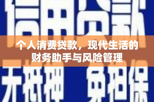 灌云个人消费贷款，现代生活的财务助手与风险管理