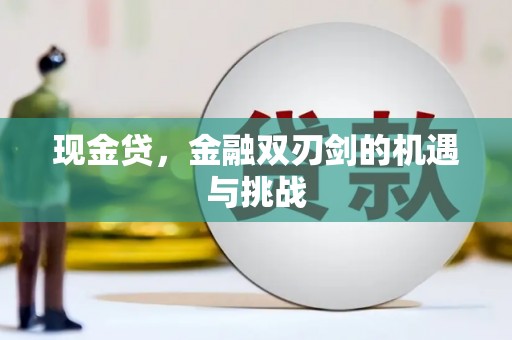 灌云现金贷，金融双刃剑的机遇与挑战