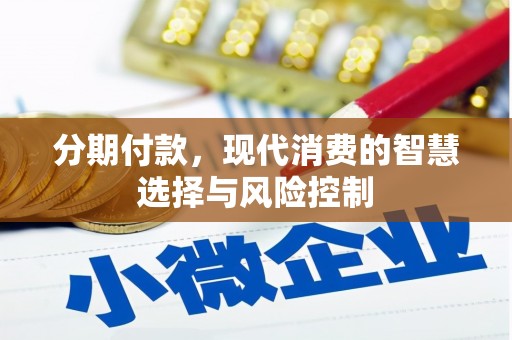 灌云分期付款，现代消费的智慧选择与风险控制