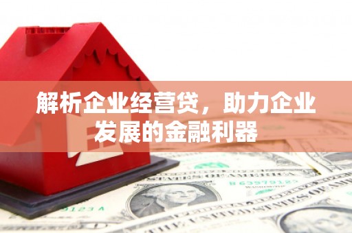 灌云解析企业经营贷，助力企业发展的金融利器