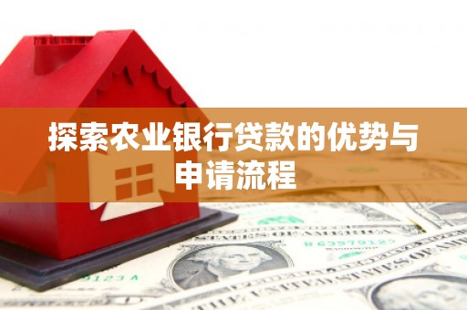 灌云探索农业银行贷款的优势与申请流程