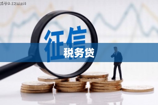 灌云税务贷