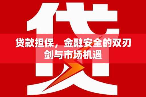 灌云贷款担保，金融安全的双刃剑与市场机遇