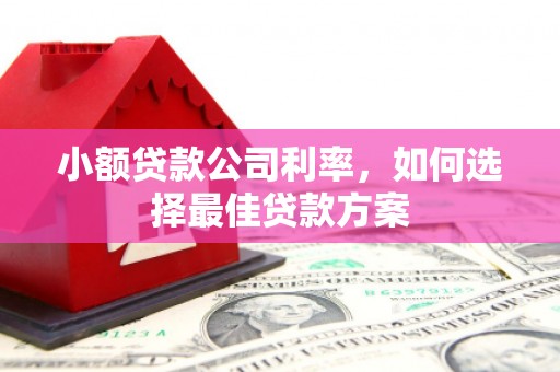 灌云小额贷款公司利率，如何选择最佳贷款方案