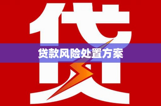 灌云贷款风险处置方案