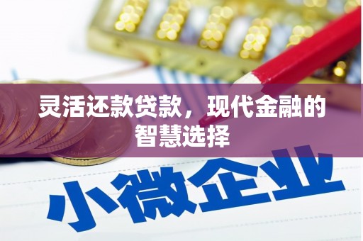 灌云灵活还款贷款，现代金融的智慧选择