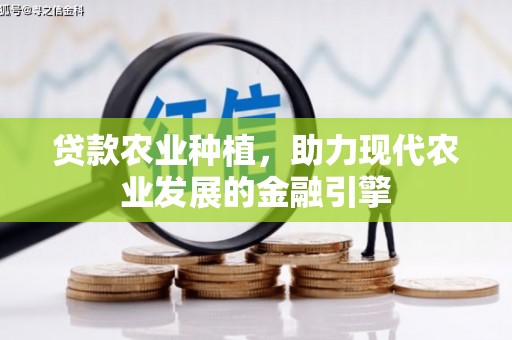 灌云贷款农业种植，助力现代农业发展的金融引擎