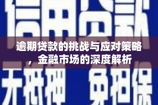 灌云逾期贷款的挑战与应对策略，金融市场的深度解析