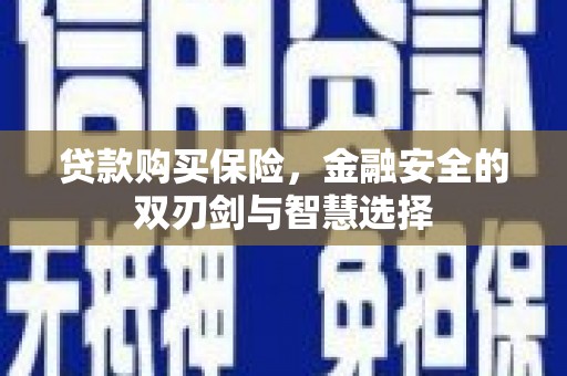 灌云贷款购买保险，金融安全的双刃剑与智慧选择