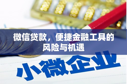 灌云微信贷款，便捷金融工具的风险与机遇
