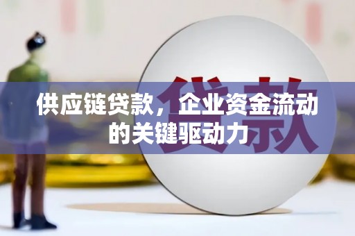 灌云供应链贷款，企业资金流动的关键驱动力