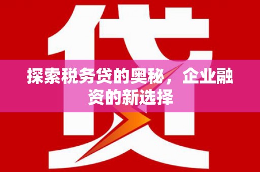灌云探索税务贷的奥秘，企业融资的新选择