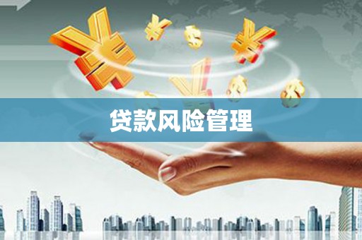 灌云贷款风险管理