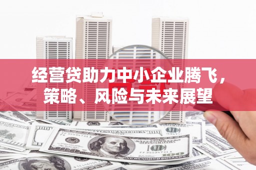 灌云经营贷助力中小企业腾飞，策略、风险与未来展望