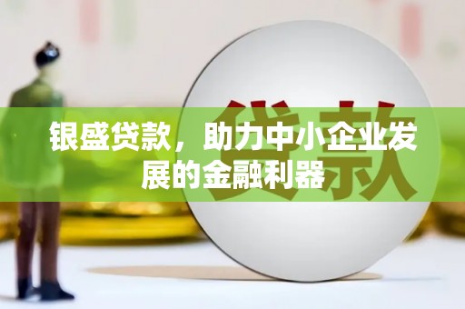 灌云银盛贷款，助力中小企业发展的金融利器